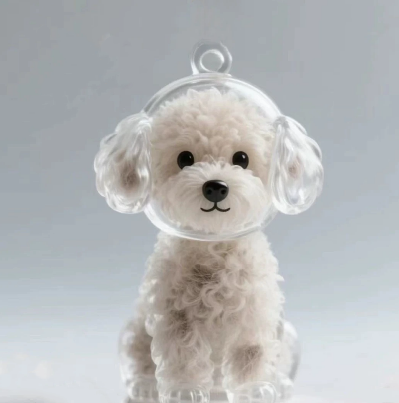 Teddy Hair Collector Keychain Charm Memorial Storage Box HC008