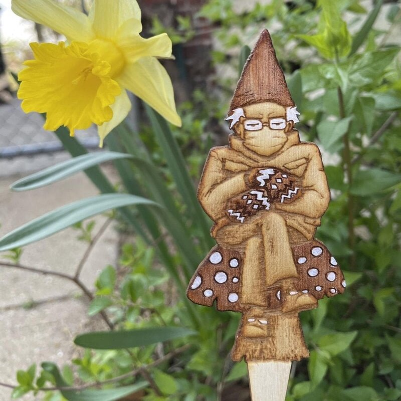 Bern in a fern ๐ Grumpy Bernie Gnome Plant - Garden Wood Stake