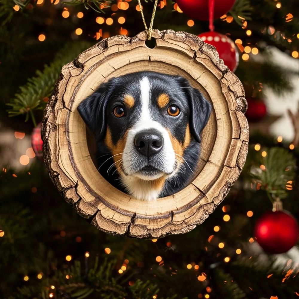 Bernese Mountain Dog - Animal Christmas Ornament CH119