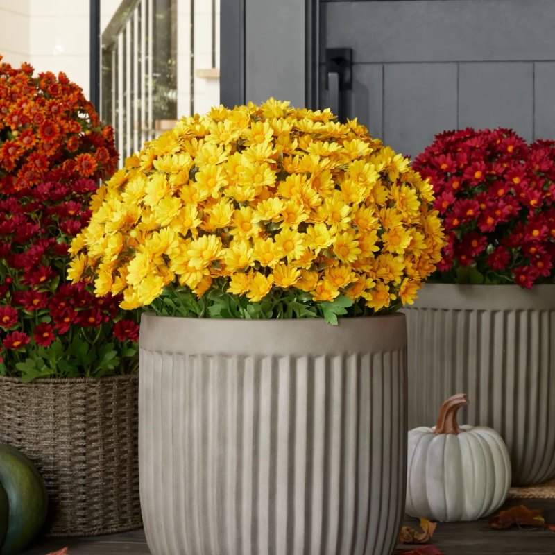 Artificial Outdoor Sunset Mums Flowers - UV resistant, Waterproof, Windproof