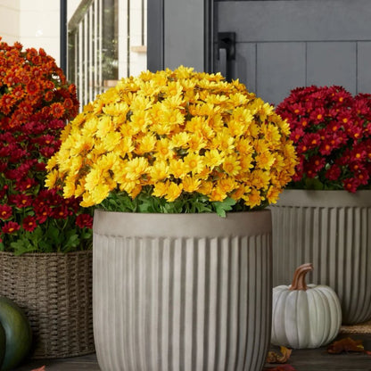 Artificial Outdoor Sunset Mums Flowers - UV resistant, Waterproof, Windproof