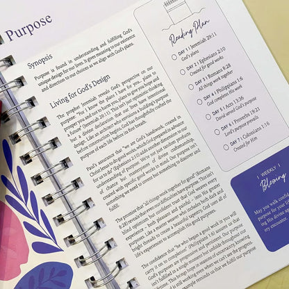 The Bible In A Year: A 52-Week Journey Through God's Word