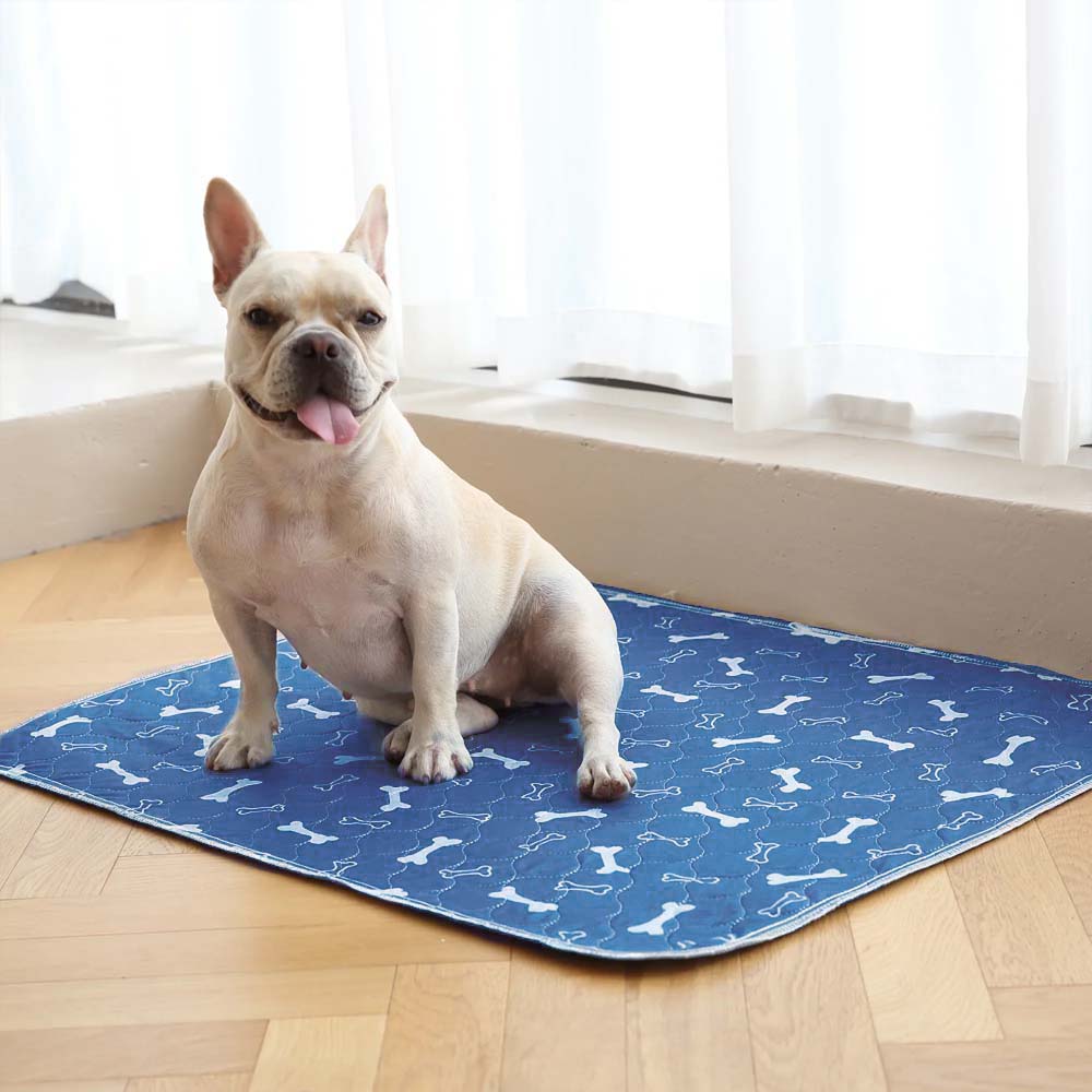 PuppyPad - The Last Pee Pad You'll Get