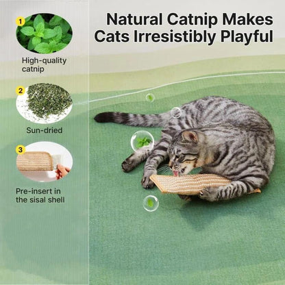Catnip Sisal Pillow Toy