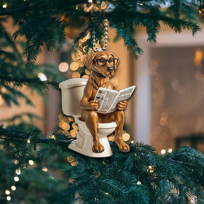 Rhodesian Ridgeback - Dog Sitting On Toilet Ornament  OT033