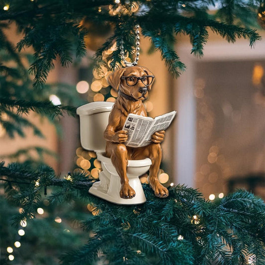 Rhodesian Ridgeback - Dog Sitting On Toilet Ornament  OT033