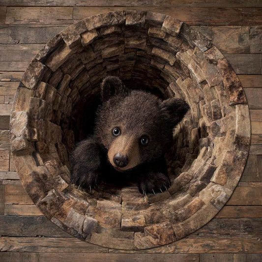 Bear Burrow - 3D Illusion Bear Round Rug - Stone Well Bear