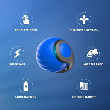 Speedy Tail 2.0 - The New King of Interactive Ball Toys