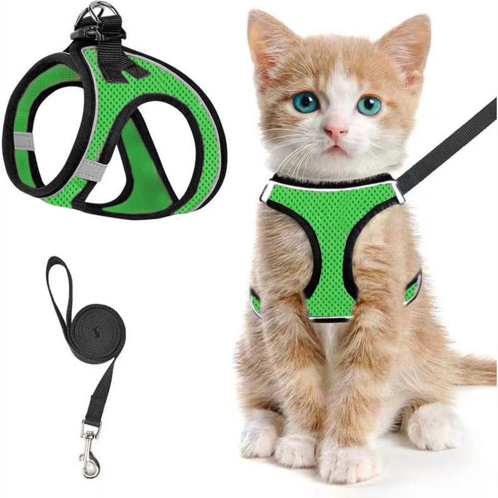 Escape-Proof Soft Mesh Harness