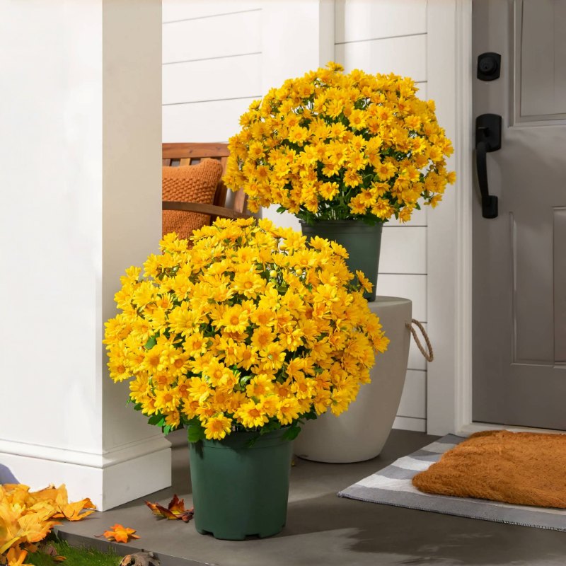 Artificial Outdoor Sunset Mums Flowers - UV resistant, Waterproof, Windproof