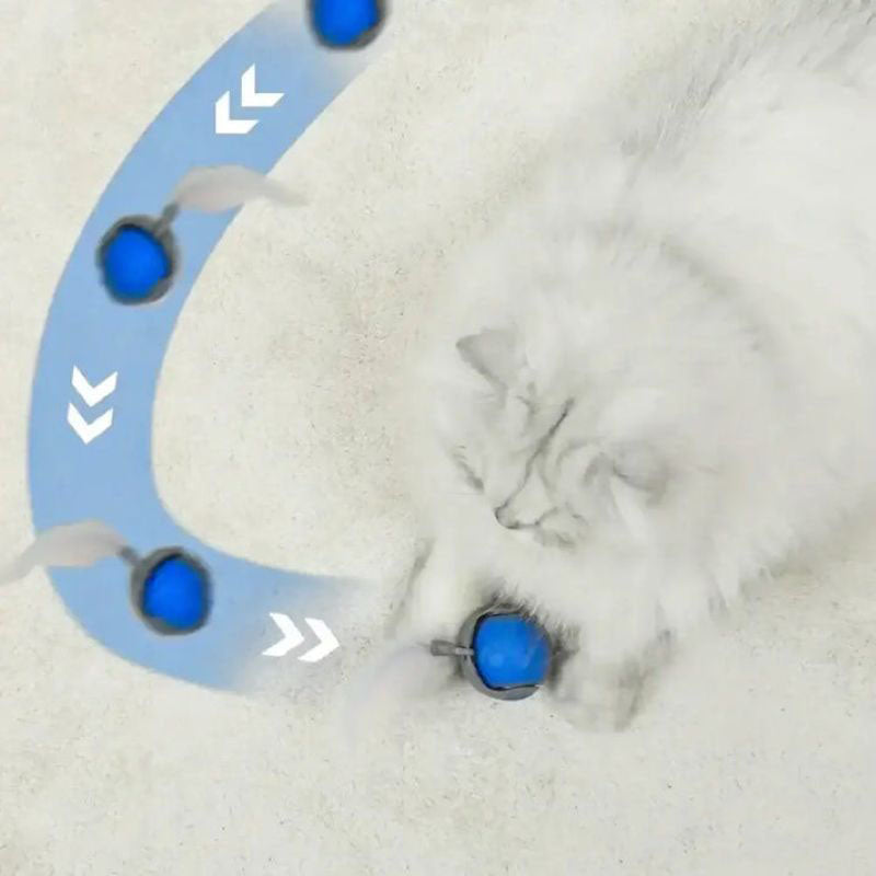 Speedy Tail 2.0 - The New King of Interactive Ball Toys