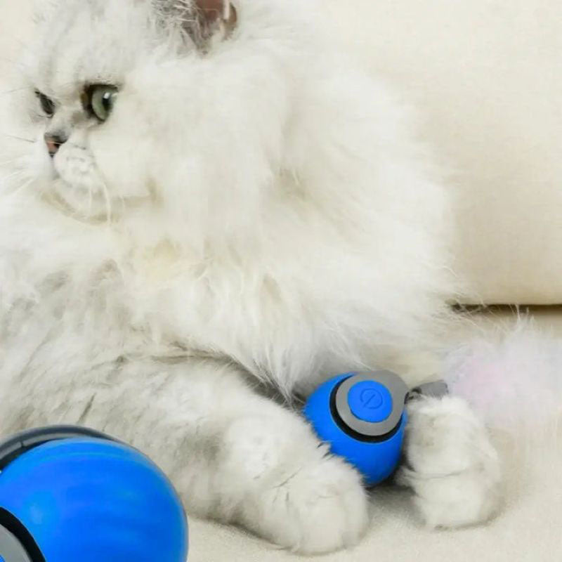 Speedy Tail 2.0 - The New King of Interactive Ball Toys