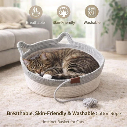 Sleep Scratch Play Basket