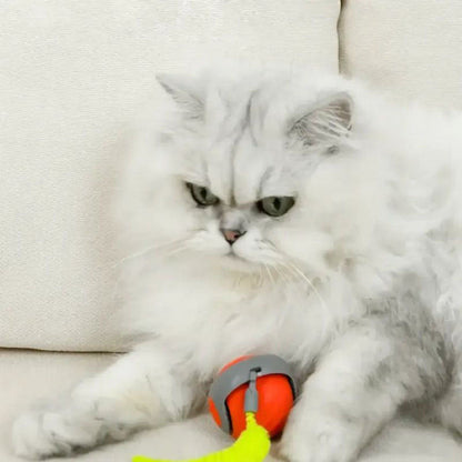 Speedy Tail 2.0 - The New King of Interactive Ball Toys