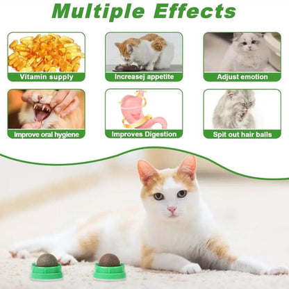 Catnip Toys Balls 4 Pcs
