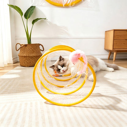 Spiral Tunnel Cat Toy