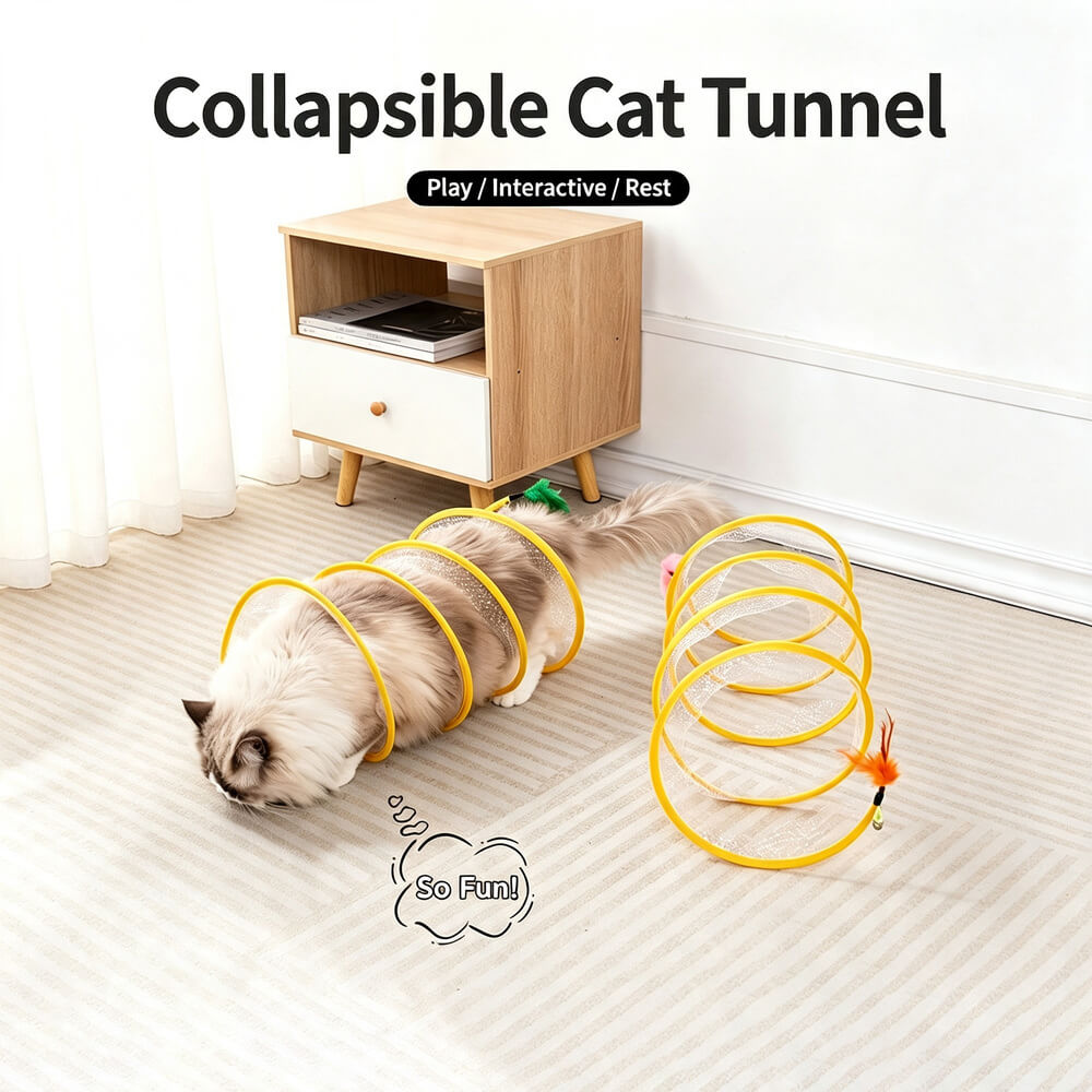 Spiral Tunnel Cat Toy