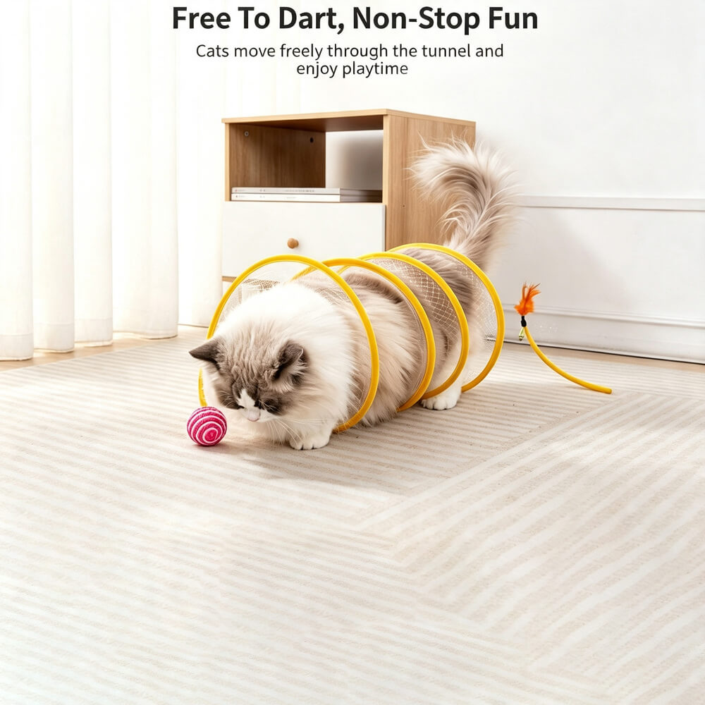 Spiral Tunnel Cat Toy