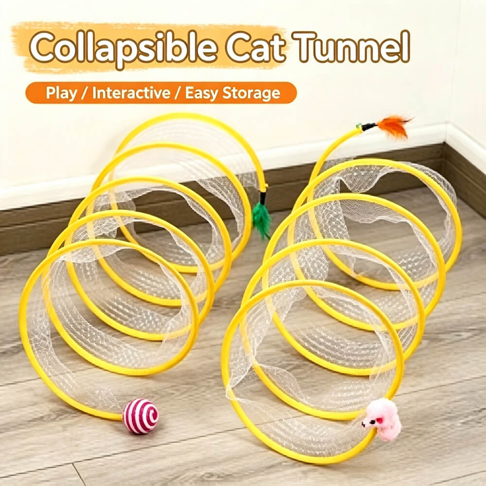 Spiral Tunnel Cat Toy