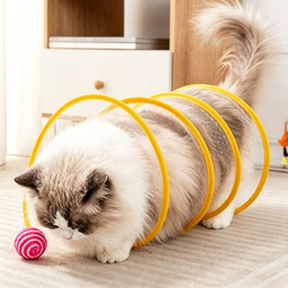 Spiral Tunnel Cat Toy