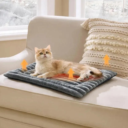 Warm pet mat for cats and dogs